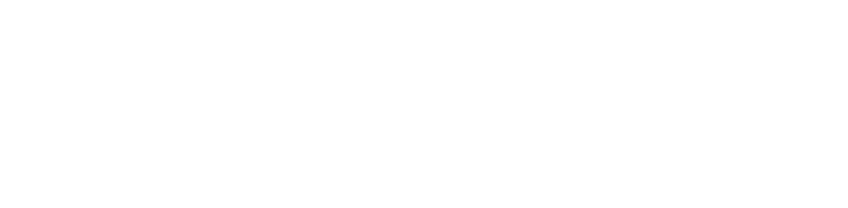 Logo Social Minds